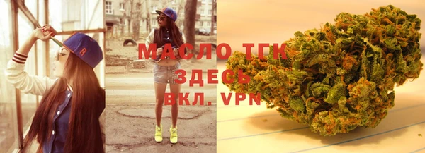 хмурый Няндома