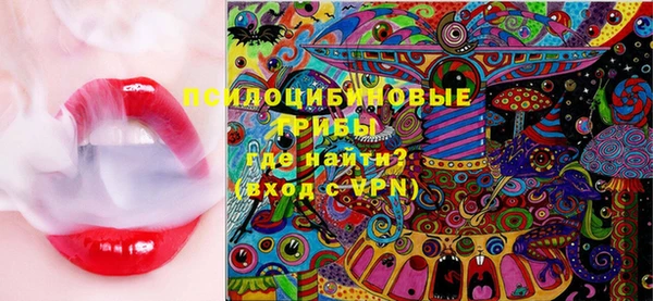 ECSTASY Нязепетровск