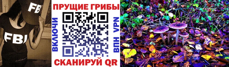 Галлюциногенные грибы Psilocybine cubensis  Пролетарск 